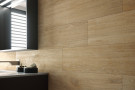 Ambiente porcelanico ambte lesny almond 22x90 baÑo