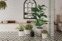 Porcelanico BEJMAT 5X15
