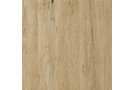Porcelánico PLUS BAKAU 60x60