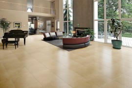  Ambiente pavimento ambsilexdune
