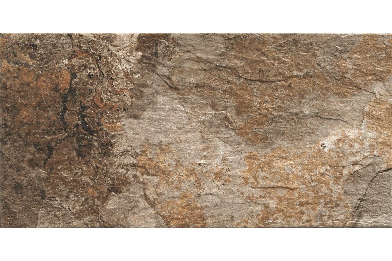  Porcelanico slate gold 30x60