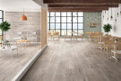  Ambiente porcelanico ambarticwoodargent