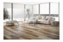 Ambiente porcelanico ambbarnwoodmulti