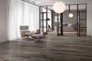  Ambiente porcelanico ambbarnwoodmagna