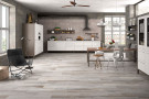  Ambiente porcelanico ambbarnwoodsilver2