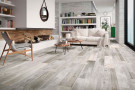  Ambiente porcelanico ambbarnwoodsilver