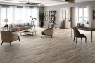  Ambiente porcelanico ambwoodlandgrey