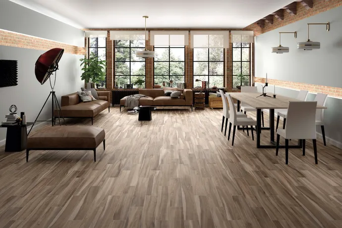 Ambiente porcelanico ambwoodlandviejo