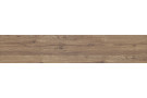  Porcelanico p.e. adenia miel 23x120