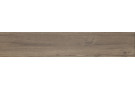  Porcelanico p.e. adenia roble 23x120