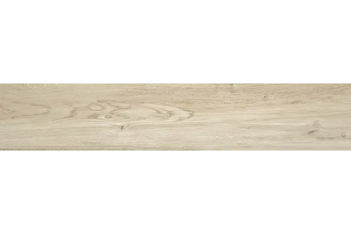  Porcelanico lake michigan mt 23x120 rect