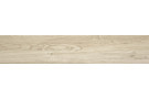  Porcelanico lake michigan mt 23x120 rect