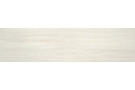  Porcelanico mount sanford 25x100