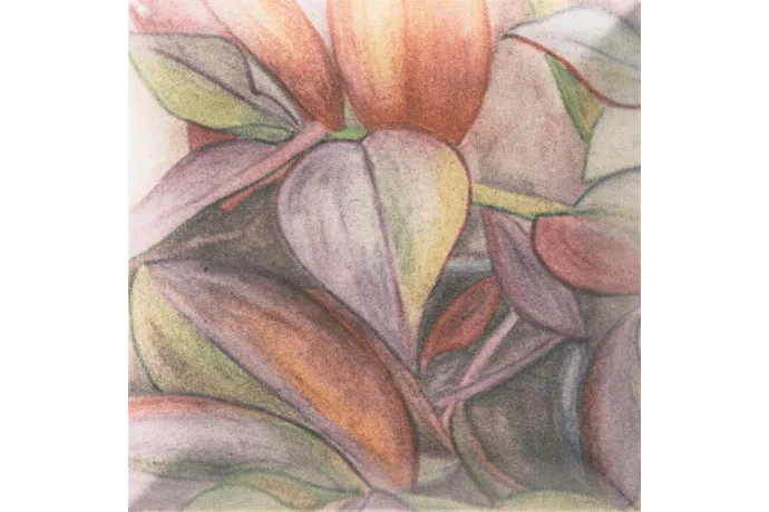  Revestimiento decor_tintoreto_15x15_6