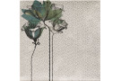  Revestimiento deco_zen_verde_20x20_7
